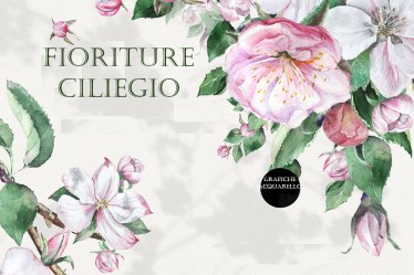 Nessuna immagine impostata 